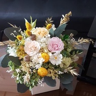 海藏設計│生生不息。黃綠優雅不凋花盆花/開幕盆花/祝賀花禮
