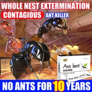 Kill rate up to 100% 10 bags Ant killer Ant bait Ubat semut Racun semut Ants killer powder Ubat semu