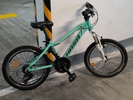 HASA COMP 20吋兒童單車