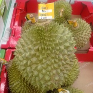 Durian Musang king Asli durian terbaik utuh fresh pics