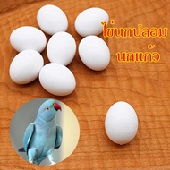 Fake Parrot Eggs Used For Replacing Real Eggs. Lovebird Cockatiel Green Cheek 5 Pieces Per Bag