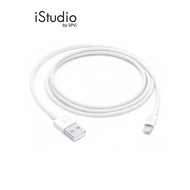 Apple Lightning to USB Cable (1M) I iStudio by SPVi