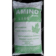 baja amino, baja kopi, baja organik, 1701