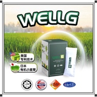 WellG Lower Blood Sugar 100% Natural 去糖灵/减糖/糖尿（1盒15包）