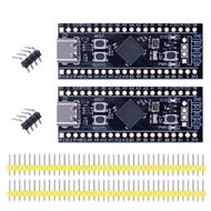 STM32F401CCU6 STM32F411CEU6 Development Board 32F401 32F411 Core System Board Learning Board