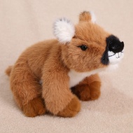 Northeast Cute Silly Doll Simulation Animal Plush Toy Doll Tribe Doll Ragdoll Girl Gift 0317