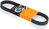 CONTITECH V-ribbed belt, 3PK600
