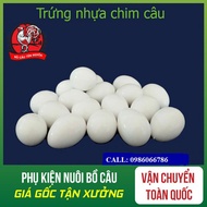 Combo of 10 pigeon water eggs - Pigeon water eggs [CHEAP PRICE]
