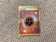 PTCG 寶可夢 金en 鬥 烈咬陸鯊 路卡利歐 班基拉斯