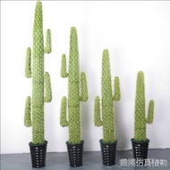 Floor-standing Artificial Cactus Ornament Simulation Fake Plant Home Living Room Cactus Office Simpl