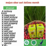MAJUN AKAR SARI DELIMA MERAH majun akar sari delima merah