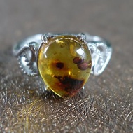Amber 琥珀 天然波羅的海 金珀 戒指 2.6克 植物珀 花珀 非二代
