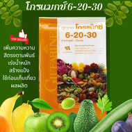 ปุ๋ยเกล็ดโกรแม็กซ์ กิฟฟารีน ปุ๋ยน้ำทางใบ ปุ๋ยเร่งผล สูตร 6-20-30 ขนาด 5 กิโลกรัม พัฒนาคุณภาพดอก ผล ห