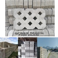 paving grass block