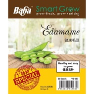 Baba Smart Grow-Edamame Seed (Special seed ) 30 seeds /pack - VE-057健康毛豆