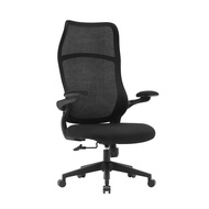 เก้าอี้เพื่อสุขภาพ KASSA รุ่น Curve Max สีดำ