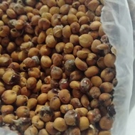 Bubuk Biji Sorgum Merah 1kg Organik