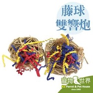 缺《寵物鳥世界》Amigo 阿迷購 藤球雙響炮 藤球 鳥玩具 中小型鳥 中型鳥 鸚鵡玩具 啃咬玩具 腳邊玩具AM0452