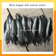 BULU ANGSA WARNA WARNI UJUNG LANCIP ISI 50 HELAI - BAHAN HIASAN DINDING AKSESORIS DREAM CATCHER PENA