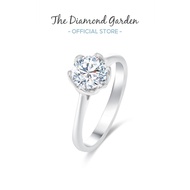 TDG 10K White Gold Lab-Grown Diamond Solitaire Ring