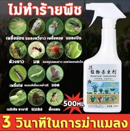 ยาฉีดแมลงกินใบ 500g ยาฆ่าแมลงกินใบ สารกำจัดแมลง ยาฆ่าเพลี้ยไฟ ยากำจัดตะไคร่ pest control spray ยาฆ่าแมลง ยากำจัดเพลี้ย ยาฆ่าแมลงปีกแข็ง สารกำจัดศัตรูพืช ยากำจัดแมลง ยาฆ่าเพลี้ยขาว ยาน๊อกหนอน เพลี้ยจักจั่น ยาฆ่าหนอนเจาะ ยาหนอนเจาะ เพลี้ยจั๊กจั่น