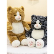 Real Cat Ragdoll Plush Toy Children's Bedroom Decoration Accompanying Doll Hug Sleeping Kitten Doll 