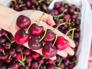 เชอรี่อเมริกา เกรด A+ 1 kg / 1290.-