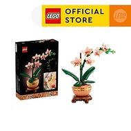 LEGO BOTANICALS 10343 Đồ Chơi Lắp Ráp Hoa Lan Nhỏ (274 Chi Tiết)
