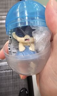 鏈鋸人 劇場版 蕾潔篇 扭蛋 畢姆/Beam チェンソーマン/鏈鋸人/電鋸人/Chainsaw Man