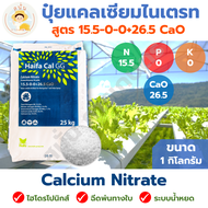 ปุ๋ยเกล็ด สูตร 15.5-0-0+26.5 CaO แคลเซียมไนเตรท Calcium Nitrate ไฮโดรโปนิกส์ ฉีดพ่นทางใบ ระบบน้ำหยด ขนาด 1 กิโลกรัม
