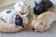 貪睡的法鬥 Frenchbulldog 居家擺飾 / 辦公室療癒小物