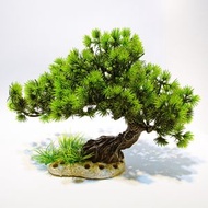 拾 - 仿羅漢松天然魚缸造景大樹 #2款可選