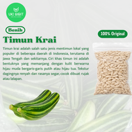 ( 10 Butir ) Benih Biji Timun Krai | Timun Kray | Timun Lalap Krai | Mentimun Krai
