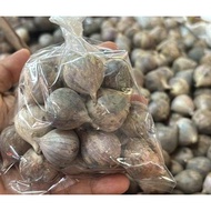 1 Pack Solo Garlic (Bawang Putih Tunggal) • Single Bulb Clove Garlic • Est 100g