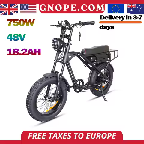 T3PRO Electric Bicycle for Adults, 20 in Tyre, 750W, 48V, 18.2Ah Li-ion Battery, Mountain and Snow M