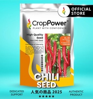 Hot Item🔥 (100 GRAM) Biji Benih Cili Minyak Hot Volcano 火山喷  CL22 CROP POWER F1 HYBRID Chili seeds 一