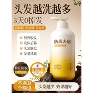 Ginger Anti-Hair Loss Shampoo Oil Control Fluffy Anti-Dandruff Anti-Itch Side Cypress Leaf Shampoo M