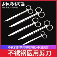 Stainless Steel Scissors Curved Head Straight Pointed Head Thickened Scissors Large and Small Sizes 