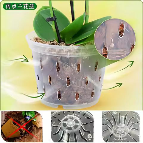 Transparent Orchid Pot Root Control Plastic Orchid Pots With Holes Breathable Plant Growth Container