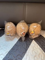 角落的生物-炸豬排