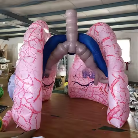 Unique 3 - meter (10 - foot) Tall Fully Printed Giant Human Inflatable Lung - Custom - made for Educ