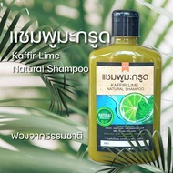 แชมพูมะกรูด สูตรมีฟองจากธรรมชาติ kaffir lime natural shampoo , No sulfate shampoo
