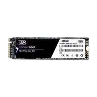 256 GB SSD M.2 PCIe 3.0 (BBR256GNV3B) NVMe M.2 2280