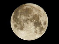 【罕見長鏡】Vivitar 600mm F8 T T2 接環 可拆成兩截攜帶 ,適合拍荷花,飛鳥,月球