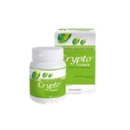 Crypto Force - 200g Raja Ganggang Cryptomonadales