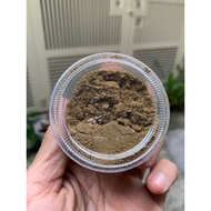 Super protein food for isopod (Providing protein)