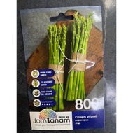 JOM TANAM Asparagus Green Wand Seed JT800 / Benih Asparagus / 芦笋种子 / Green Wand 800 (30 seeds)