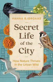 Secret Life of the City Hanna Hagen Bjørgaas