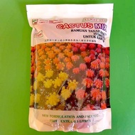 2 Liter Ferti 222 cactus mix soil/tanah kaktus