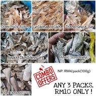 Ikan Kering / gelama belah/anak tamban/ anak temenung / ikan bulu ayam/ anak tamban